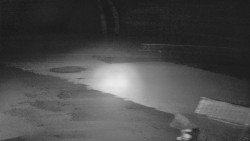 Terasa horského hotelu