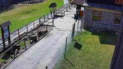 Terasa horského hotelu