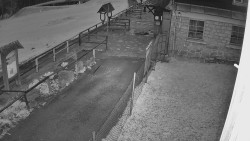 Terasa horského hotelu