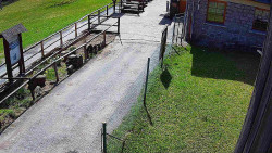 Terasa horského hotelu