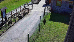 Terasa horského hotelu