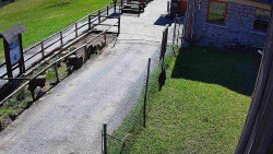 Terasa horského hotelu