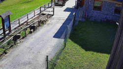 Terasa horského hotelu