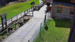 Terasa horského hotelu