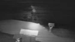 Terasa horského hotelu