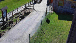 Terasa horského hotelu