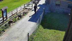 Terasa horského hotelu