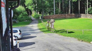 SkiAreál – Berghotel Vsacký Cáb - Taras górskiego hotelu - 22.7.2026 v 17:45 SkiAreál – Berghotel Vsacký Cáb - Taras górskiego hotelu - 22.7.2026 v 17:45