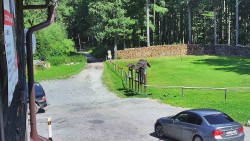Terasa horského hotelu