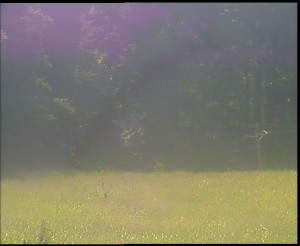 SkiAreál - Horský hotel Vsacký Cáb - Nastupní stanice vleku - 15.6.2025 v 10:00 SkiAreál - Horský hotel Vsacký Cáb - Nastupní stanice vleku - 15.6.2025 v 10:00