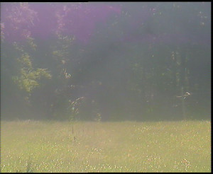 SkiAreál - Horský hotel Vsacký Cáb - Nastupní stanice vleku - 15.6.2025 v 11:00 SkiAreál - Horský hotel Vsacký Cáb - Nastupní stanice vleku - 15.6.2025 v 11:00