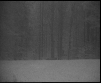 Snímek    29.10.2025 v 06:15