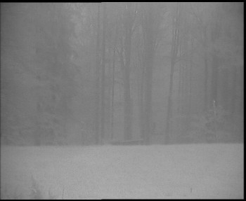 Snímek    29.10.2025 v 06:45