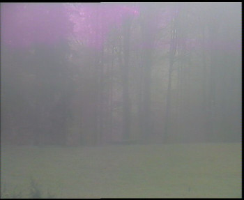 Snímek    29.10.2025 v 08:00