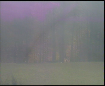 Snímek    29.10.2025 v 09:45