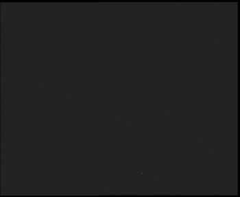 Snímek    29.10.2025 v 21:45