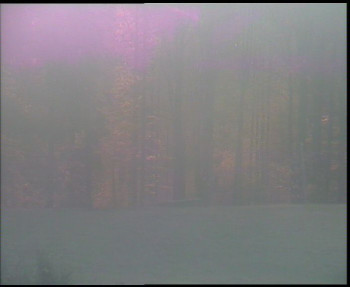 Snímek    31.10.2025 v 07:00