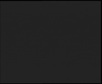 Snímek    31.10.2025 v 19:15