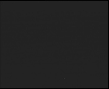 Snímek    31.10.2025 v 23:00