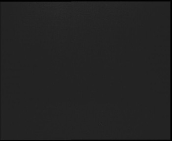 Snímek    1.11.2025 v 06:00