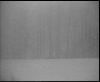 Snímek    1.11.2025 v 06:30