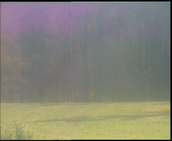 Snímek    1.11.2025 v 12:45