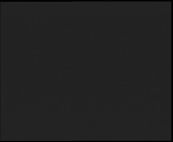 Snímek    3.11.2025 v 01:30