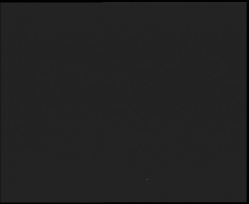 Snímek    3.11.2025 v 17:00