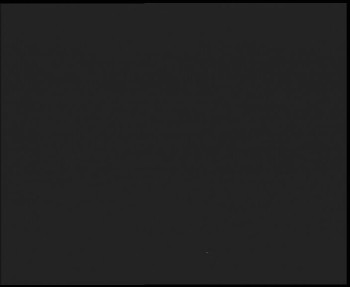 Snímek    3.11.2025 v 17:30