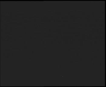 Snímek    3.11.2025 v 19:00