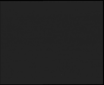 Snímek    3.11.2025 v 21:00