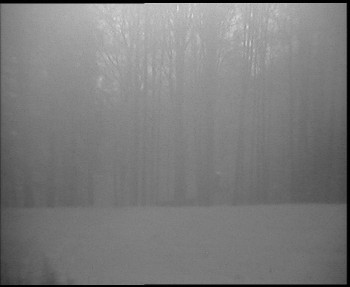 Snímek    4.11.2025 v 06:15