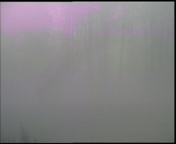 Snímek    4.11.2025 v 07:45