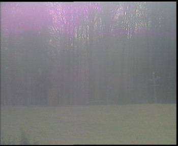 Snímek    4.11.2025 v 08:00