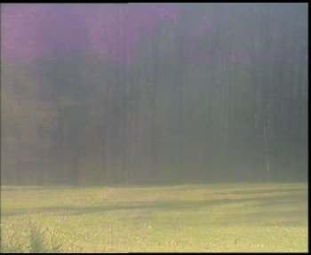 Snímek    4.11.2025 v 13:00