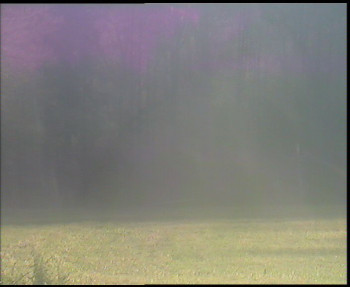 Snímek    4.11.2025 v 14:00