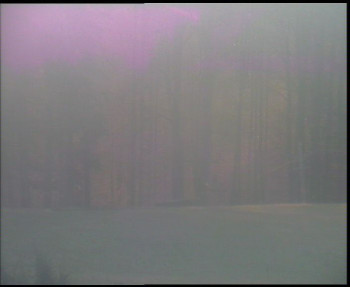 Snímek 5.11.2025 v 07:00