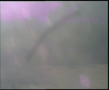 Snímek 5.11.2025 v 08:00