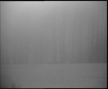 Snímek 6.11.2025 v 06:15