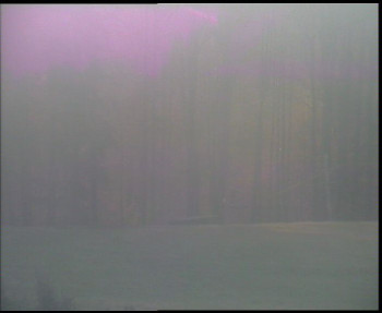 Snímek 6.11.2025 v 07:00