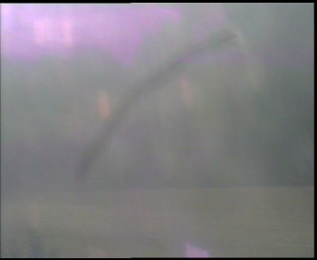 Snímek 6.11.2025 v 08:30