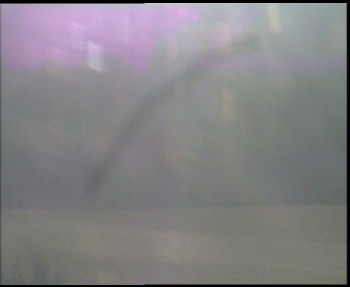 Snímek 6.11.2025 v 09:00