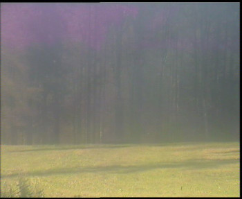 Snímek 6.11.2025 v 12:45