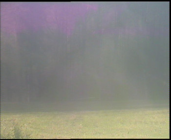 Snímek 6.11.2025 v 13:45