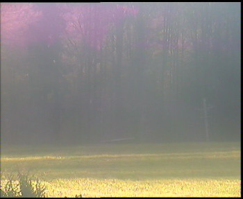 Snímek 6.11.2025 v 14:15