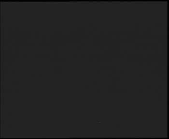 Snímek 6.11.2025 v 19:00