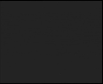 Snímek 7.11.2025 v 01:30