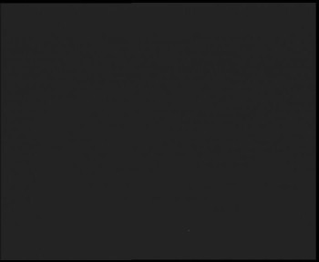 Snímek 7.11.2025 v 02:30