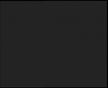 Snímek 7.11.2025 v 03:45