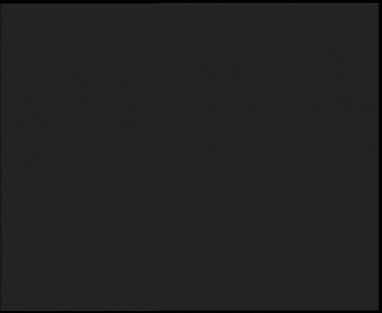 Snímek 7.11.2025 v 05:45